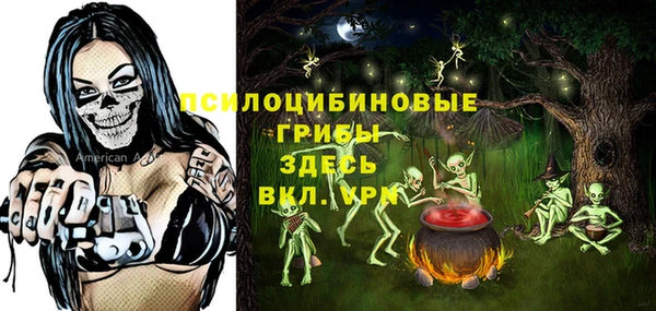 экстази Алексин